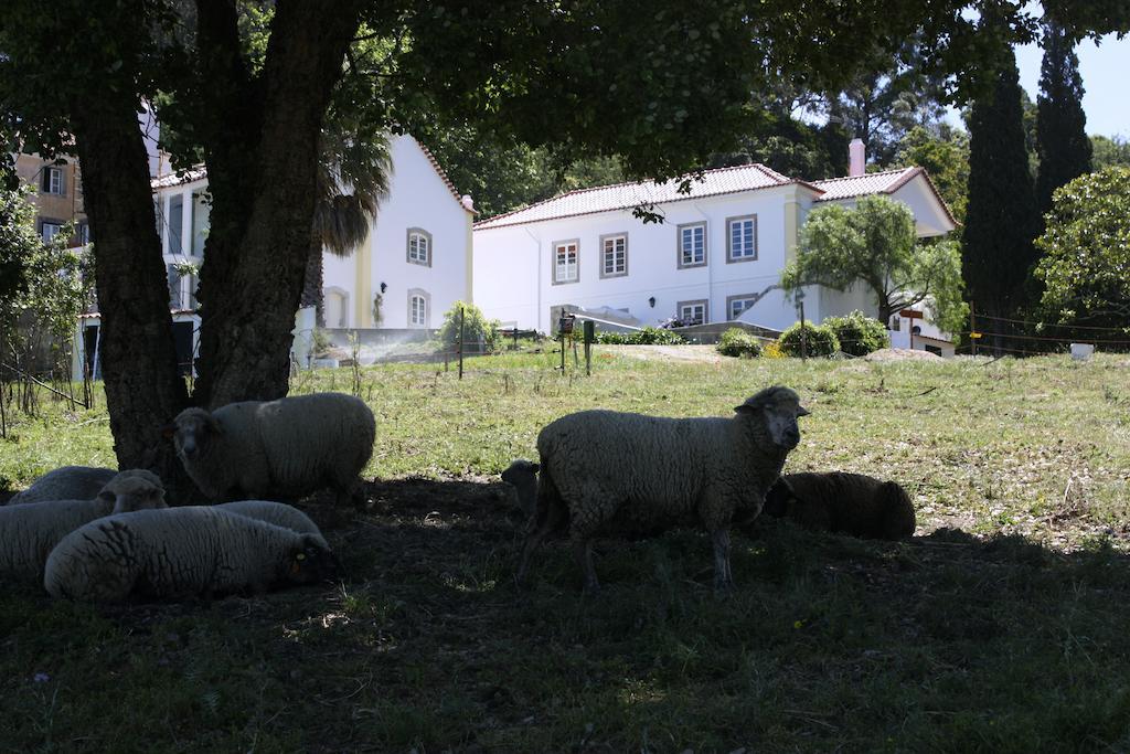 Eugaria Country House By Lost Lisbon Sintra Dış mekan fotoğraf
