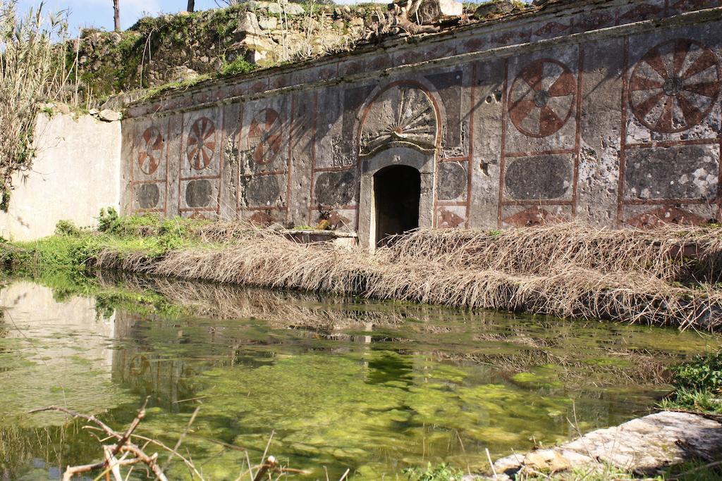 Eugaria Country House By Lost Lisbon Sintra Dış mekan fotoğraf
