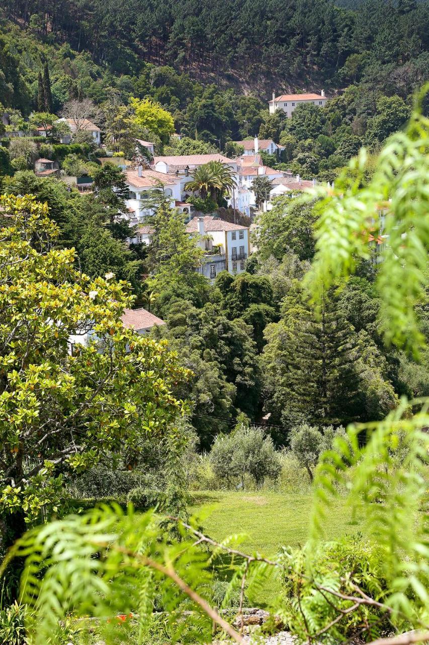 Eugaria Country House By Lost Lisbon Sintra Dış mekan fotoğraf
